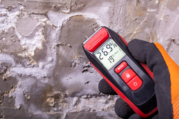 Best Health and Safety Mold Remediation in South Monrovia Island, CA